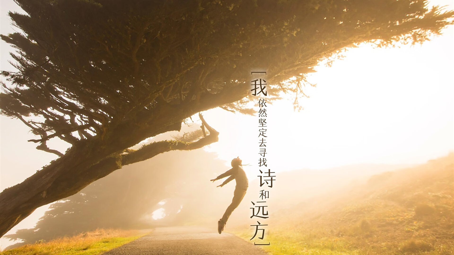 爱游戏中国官方登录入口网站-“内线王者：篮下最具统治力的球员”