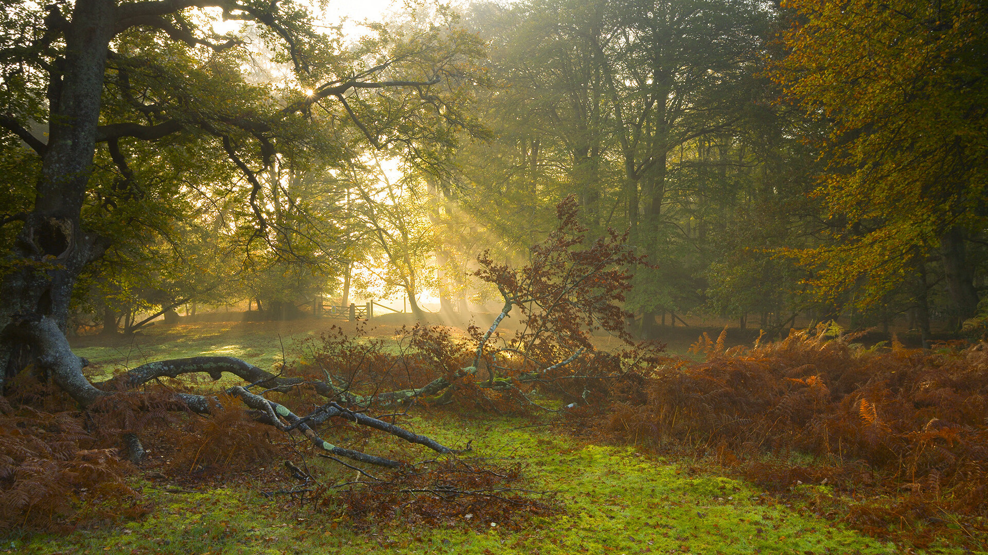 国家级青少年篮球训练中心在多地落成，提升行业硬实力，国家青少年篮球队