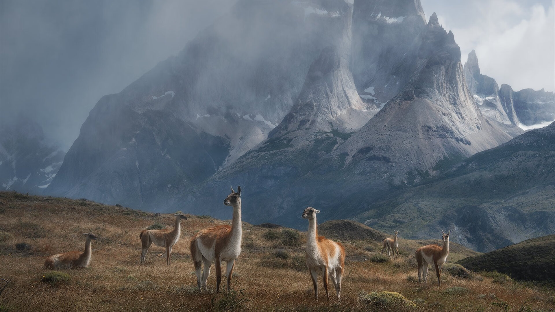 大型户外充气障碍赛,互动体验新玩法,充气装备