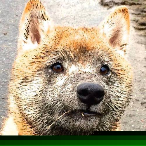 英超：曼城4-2逆转利物浦，争冠悬念再度升温，英超曼城4_1利物浦