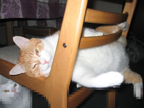 重点高校足球联赛精彩纷呈,校园足球热潮再起,校园足球联赛竞赛规程