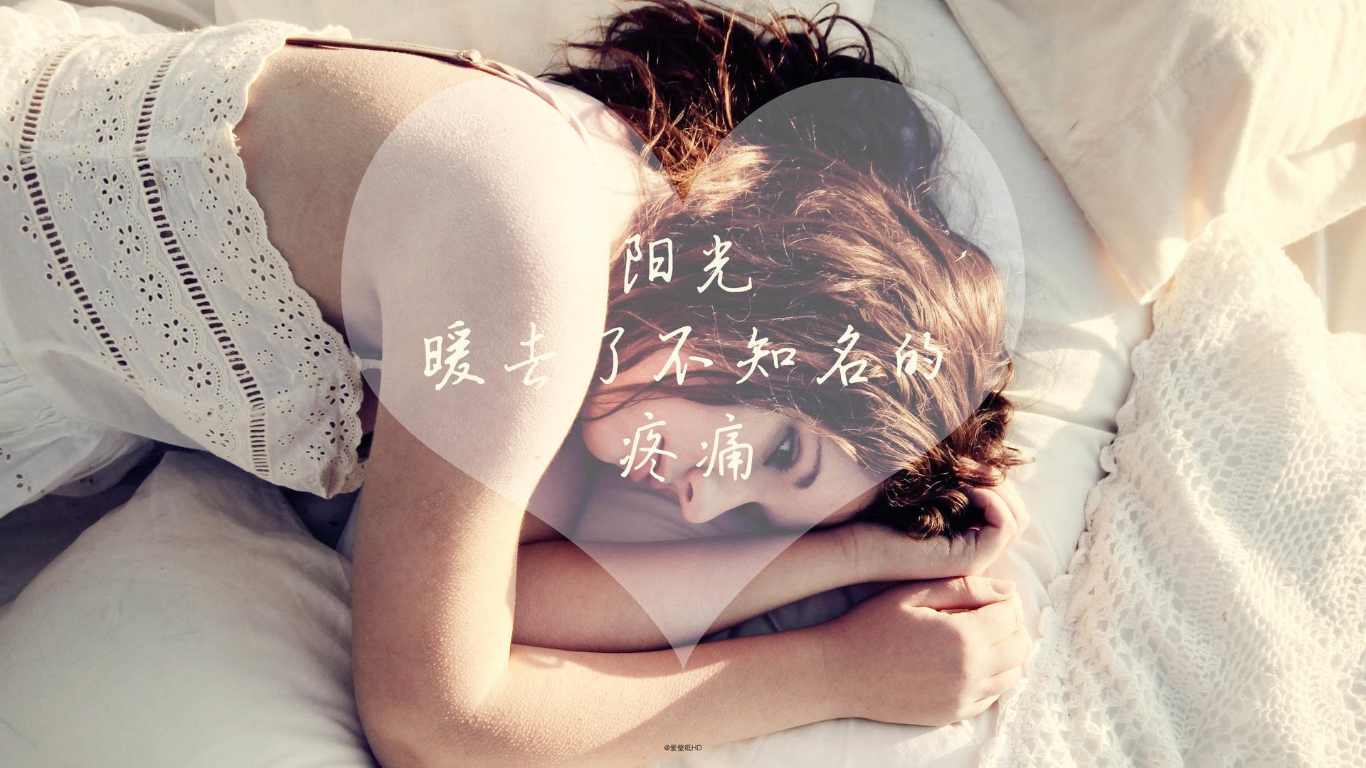 中国足球的球迷文化活动组织方案实施方案实施,中国足球球迷协会