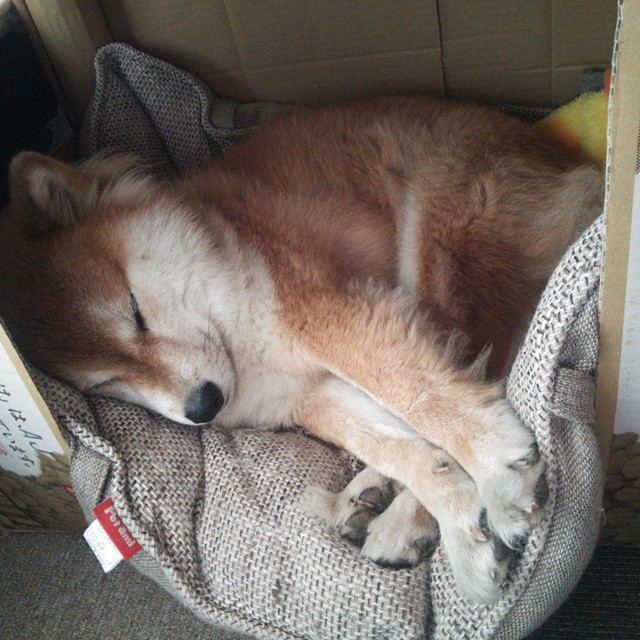 亚特兰大客场掀翻对手,创造惊艳逆转,亚特兰大视频