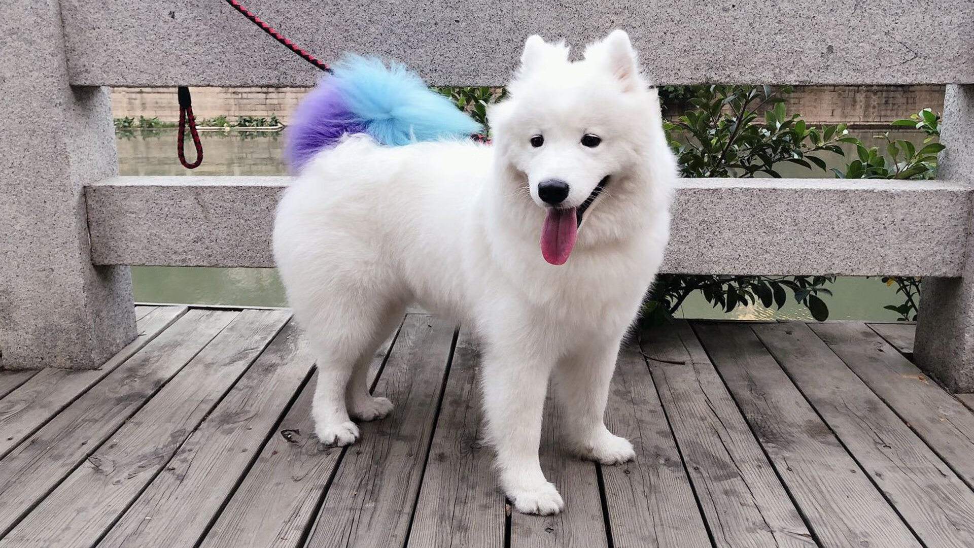 爱游戏官方网站-伊朗队荣获“最佳雪地适应奖”