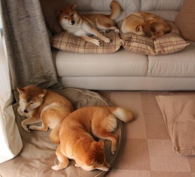 球场赛事热血燃烧,国脚勇夺头筹,足球赛国足