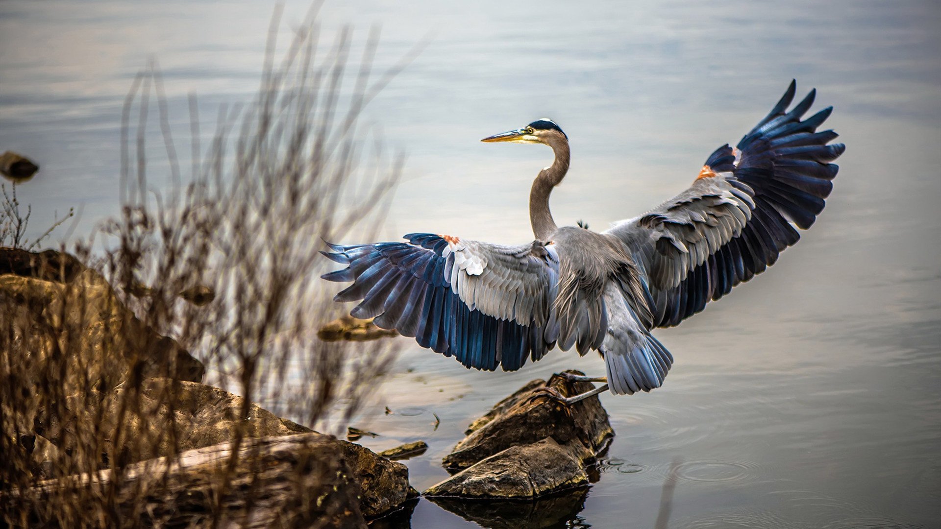 AYX GAME-英雄联盟经典赛事回顾专题，英雄联盟比赛2021赛程视频回放