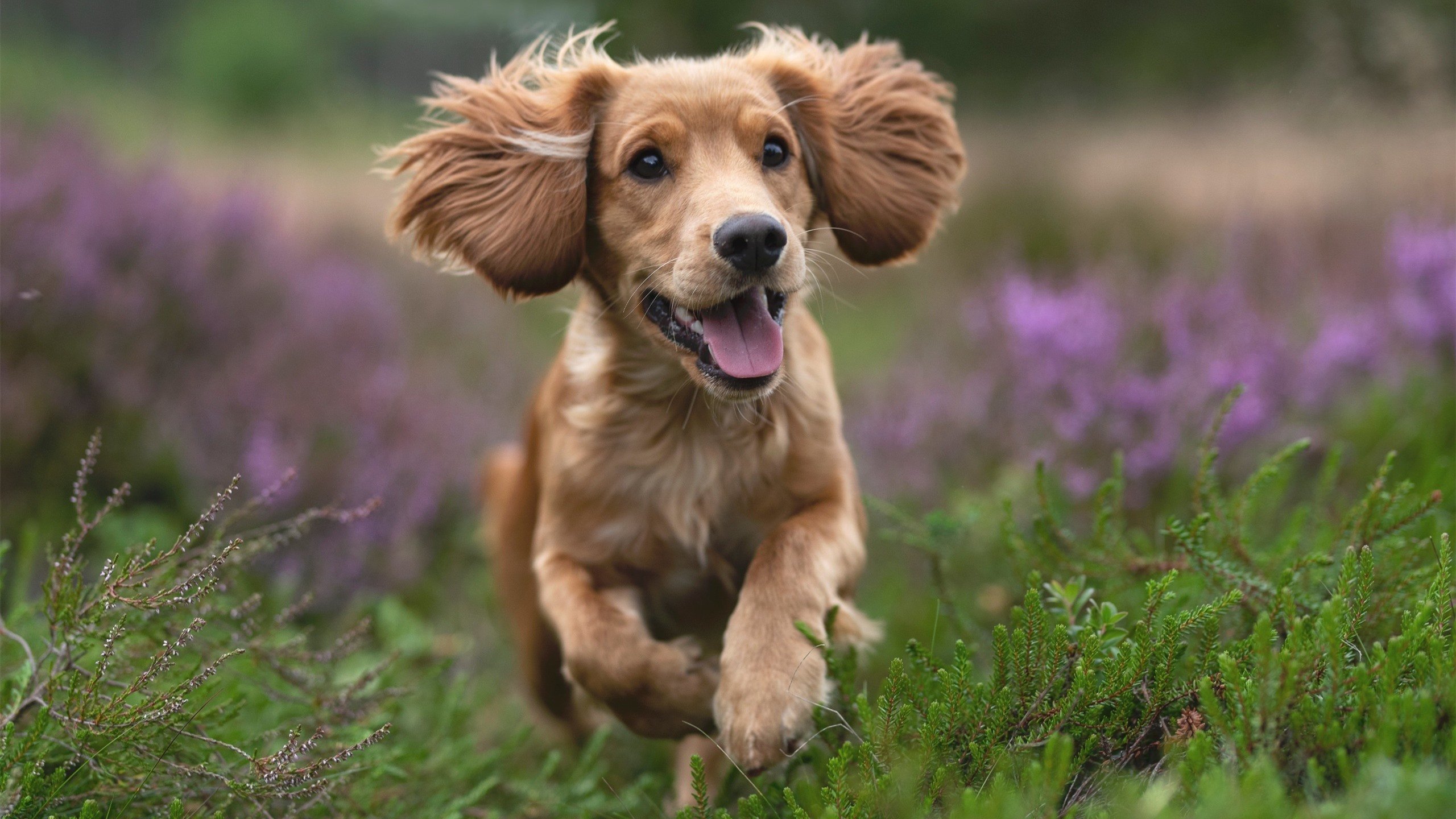 AYX体育官网-足球場上的激烈對抗，波濤洶湧的熱血時刻，足球赛激烈怎么形容