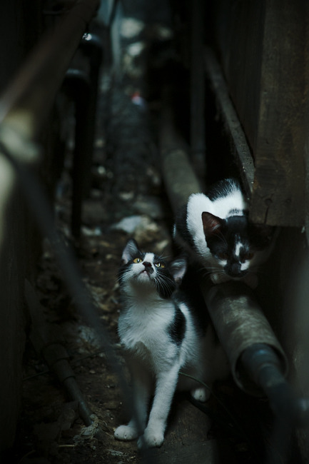 马德里竞技遭遇曼城,无缘半决赛,马德里竞技赛程表