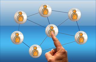 AYX体育官网-世界足球推广：南南合作助力新兴市场崛起，南亚足球强国