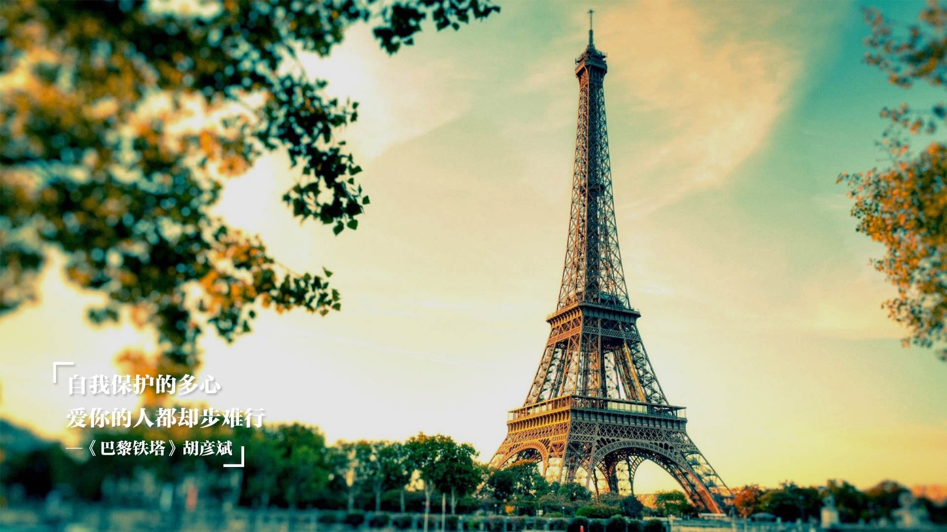 爱游戏体育APP下载-全国男子赛艇冠军赛江苏独揽三冠，中国男子赛艇运动员