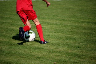 AYX官网-意甲裁判语义分析系统在比赛判罚中的应用研究，意甲裁判名单