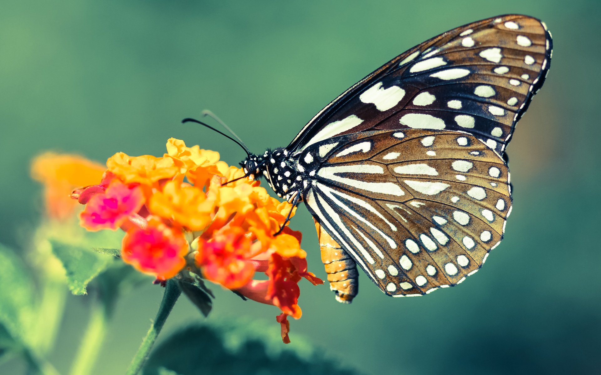 拜仁管理层稳定,为球队长远发展铺路,拜仁高管