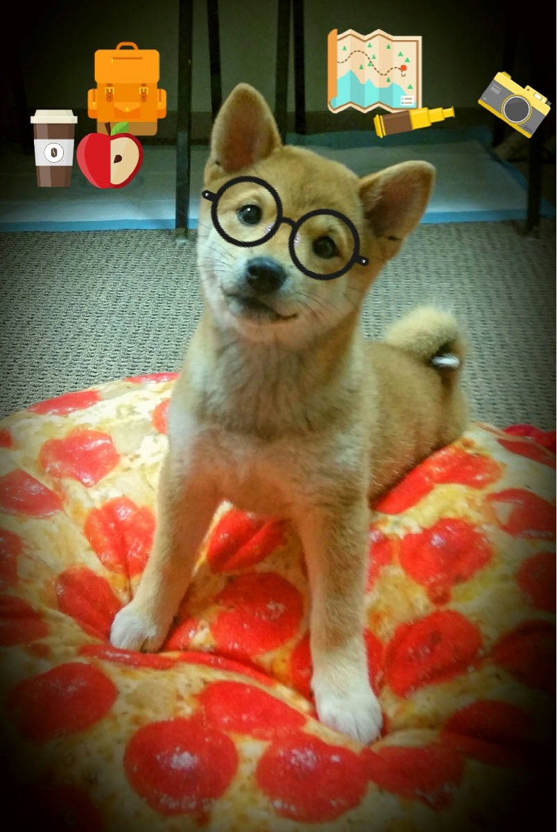 AYX SPORTS-朱婷鼓励队友突破自我迎接挑战，朱婷带队出发