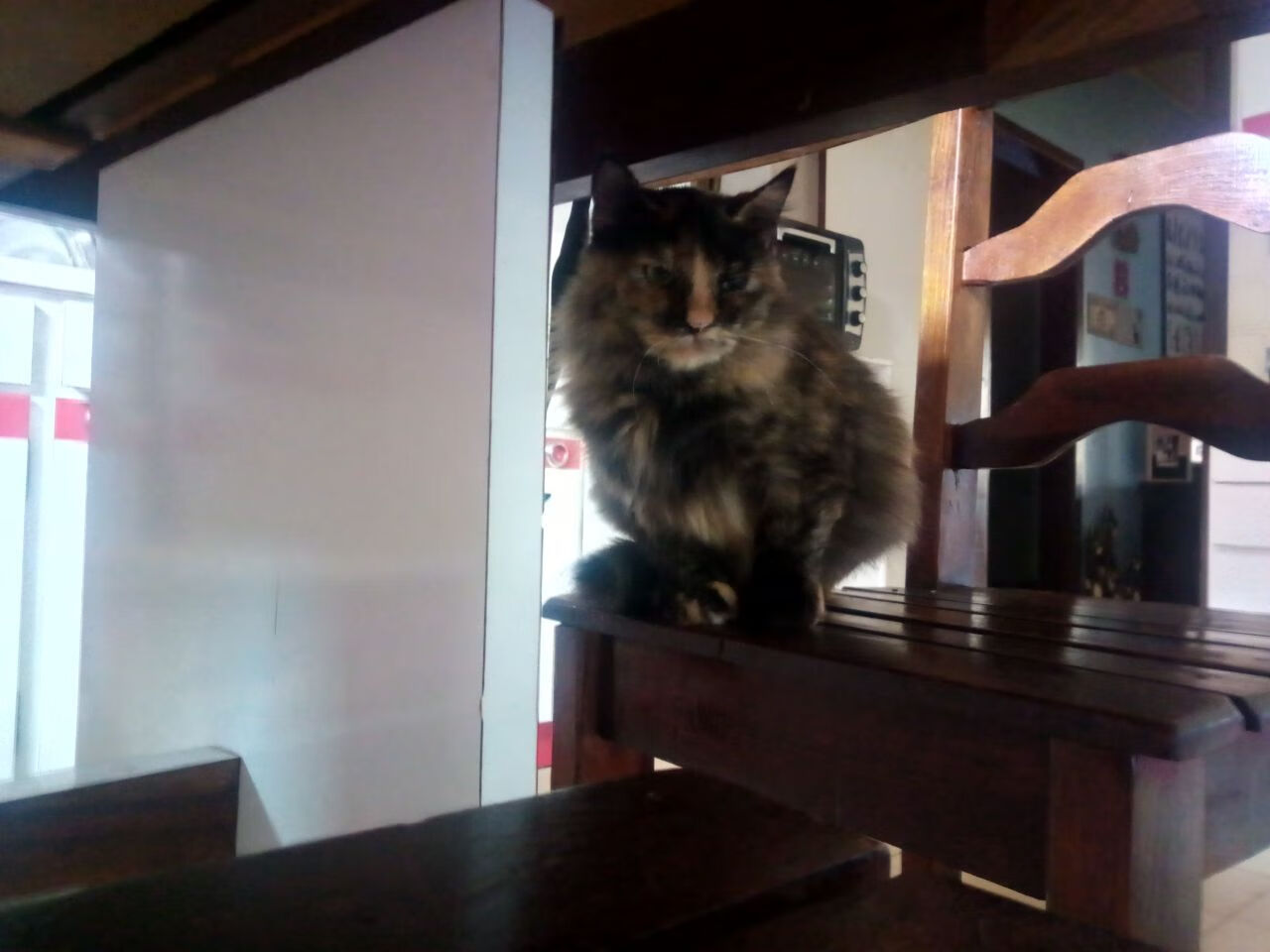 爱游戏官网-球员身体状态全面回暖教练团队表示全队已进入最佳备战节奏，球员身体素质