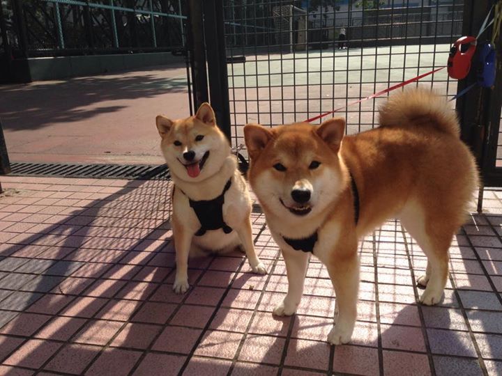 爱游戏登录入口-西甲青春风潮：新星崭新登场！，西甲青年联赛